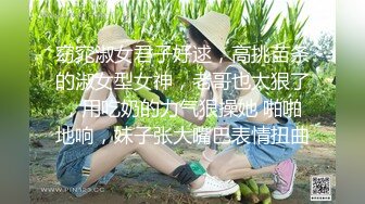 窈窕淑女君子好逑，高挑苗条的淑女型女神，老哥也太狠了，用吃奶的力气狠操她 啪啪地响，妹子张大嘴巴表情扭曲