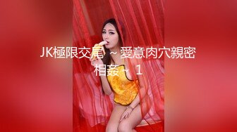 JK極限交尾 ～愛意肉穴親密相姦～ 1