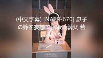 (中文字幕) [NATR-670] 息子の嫁を妄想で寝取る義父 若月みいな