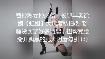 臀控熟女控必备！长腿半老徐娘【虹姐】大尺度私拍② 老骚货买了好多情趣，扭臀晃腰掰开黝黑的肥大阴唇勾引 (3)