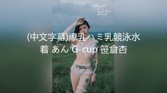 (中文字幕)爆乳ハミ乳競泳水着 あん G-cup 笹倉杏