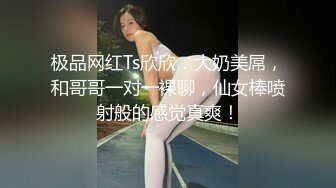 极品网红Ts欣欣：大奶美屌，和哥哥一对一裸聊，仙女棒喷射般的感觉真爽！