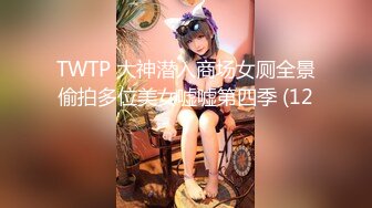 TWTP 大神潜入商场女厕全景偷拍多位美女嘘嘘第四季 (12)