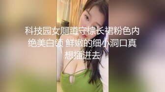 科技园女厕蹲守棕长裙粉色内绝美白领 鲜嫩的细小洞口真想插进去