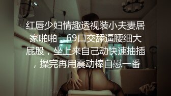 红唇少妇情趣透视装小夫妻居家啪啪，69口交舔逼腰细大屁股，坐上来自己动快速抽插，操完再用震动棒自慰一番